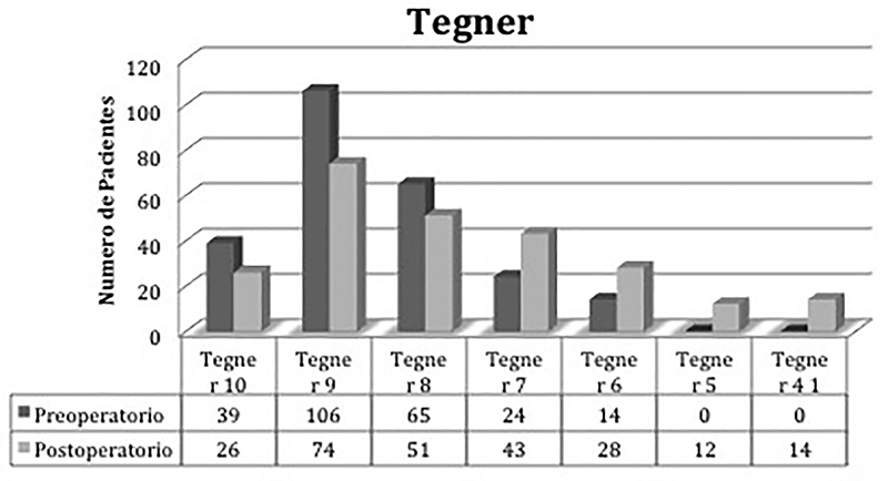Figura 1
