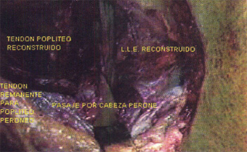 05_01_06_foto3