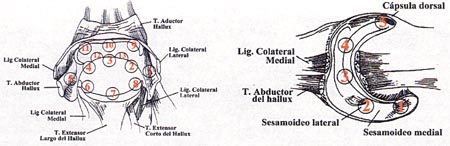 07_02_06_fig3-4
