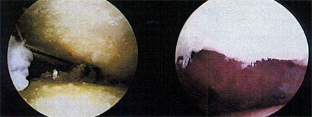 07_02_06_foto3-4