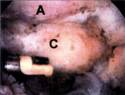 08_02_01_fig2