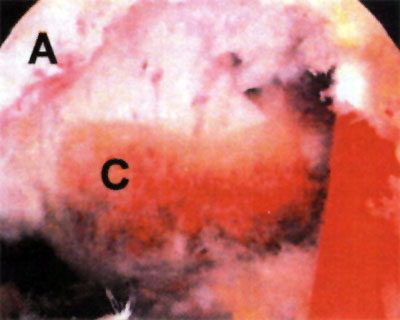 08_02_01_fig7