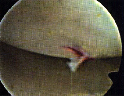 08_02_07_fig4