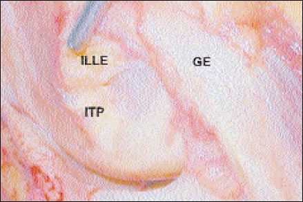 09_02_05_fig3