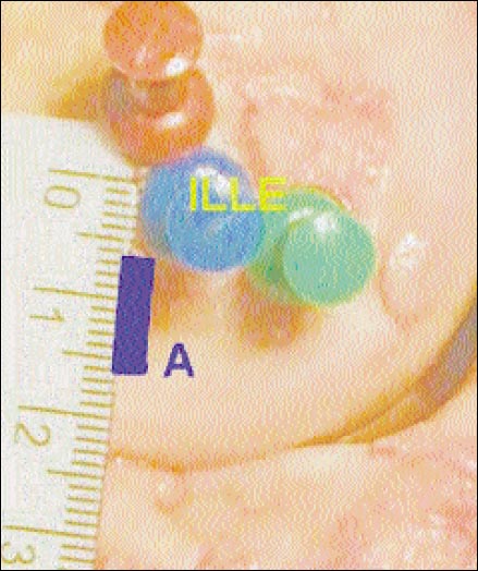 09_02_05_fig4