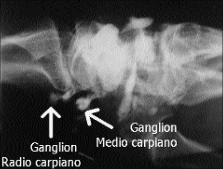 10_1_1_fig7
