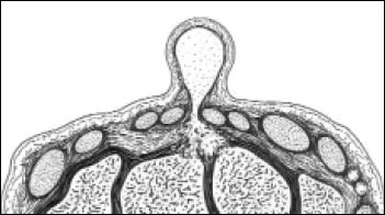 10_2_2_fig1
