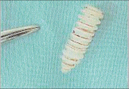 10_1_3_fig9