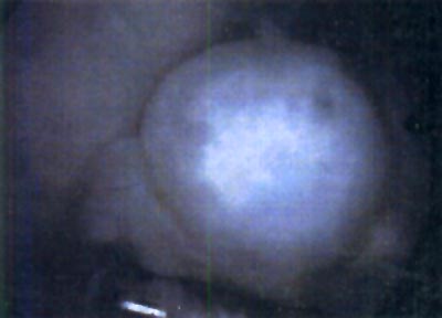10_02_08_fig3