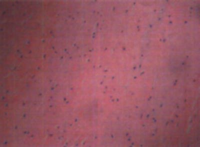 10_02_08_fig4