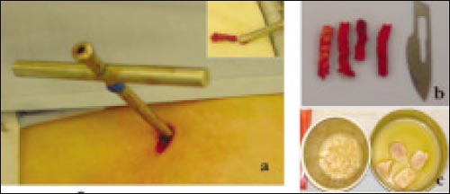 13_2_7_fig6