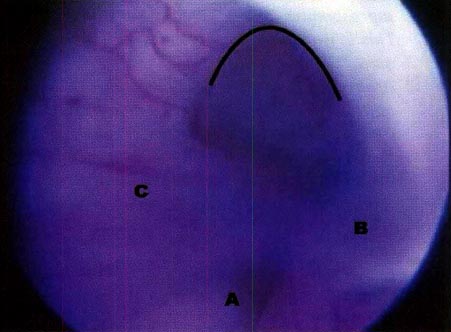14_01_09_fig2