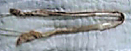 fig3