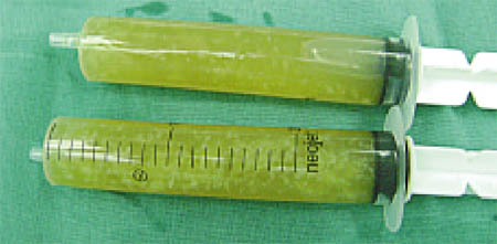 fig6