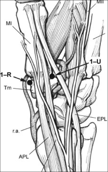 fig3