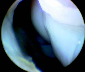 Fig_7