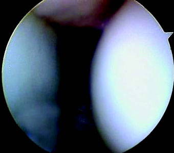 Fig_8