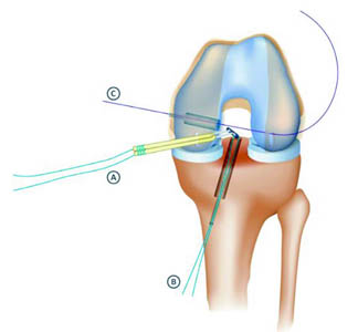 fig2a