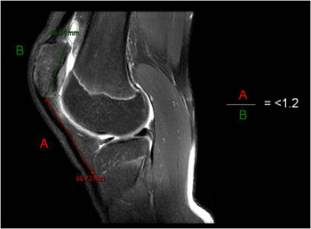 Fig1Acopy