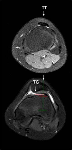 Fig1Ccopy