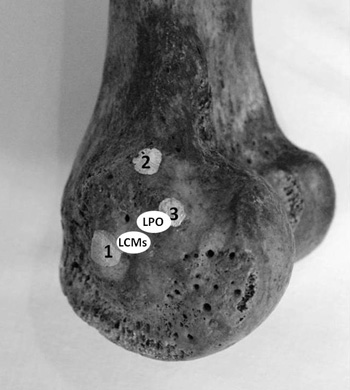 Fig3copy