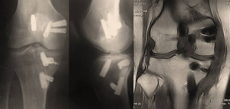 Fig8copy