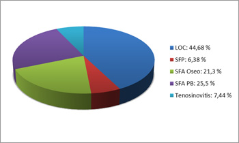 grafico1copy