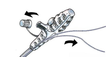 Fig4copy