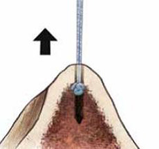 Fig5copy