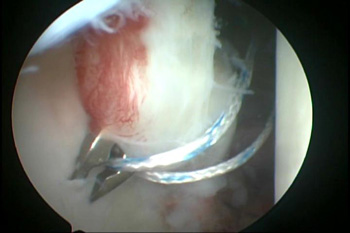 Fig6copy