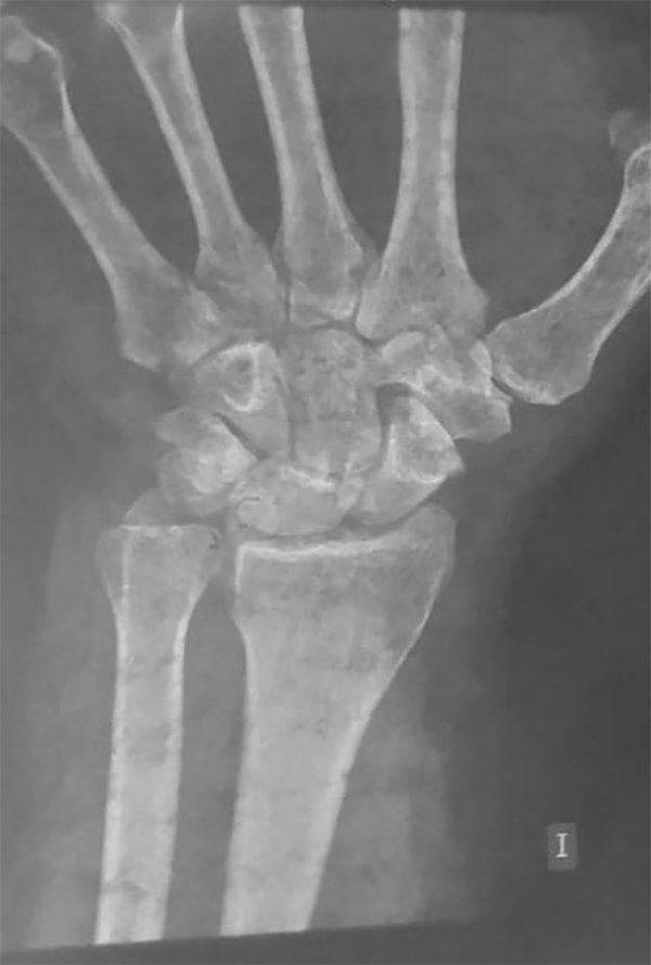 Untitled Document [revistarelart.com]